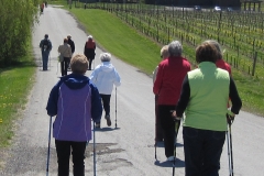 Wine tour strolling